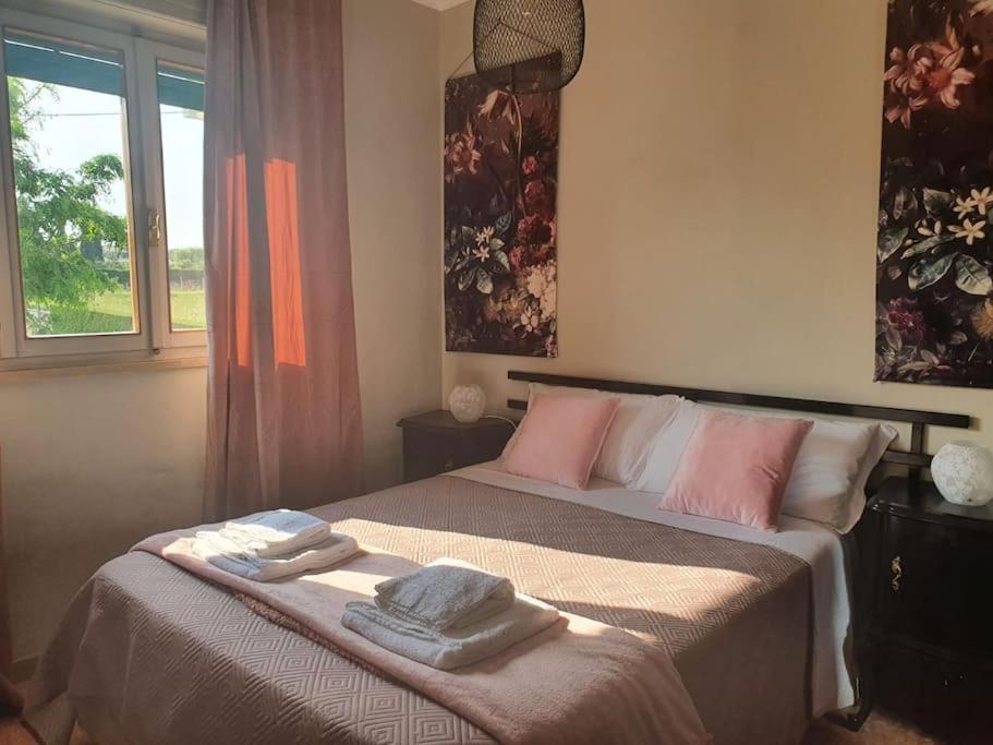 Molo - Residenza Con Accesso Diretto Al Lago Lazise Eksteriør billede