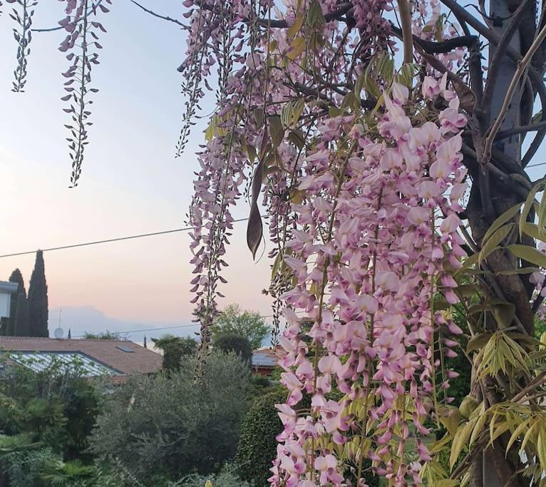 Molo - Residenza Con Accesso Diretto Al Lago Lazise Eksteriør billede